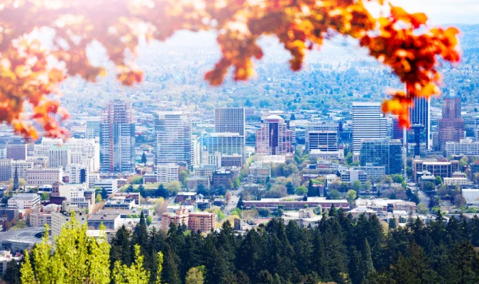 chiropractor near me gresham